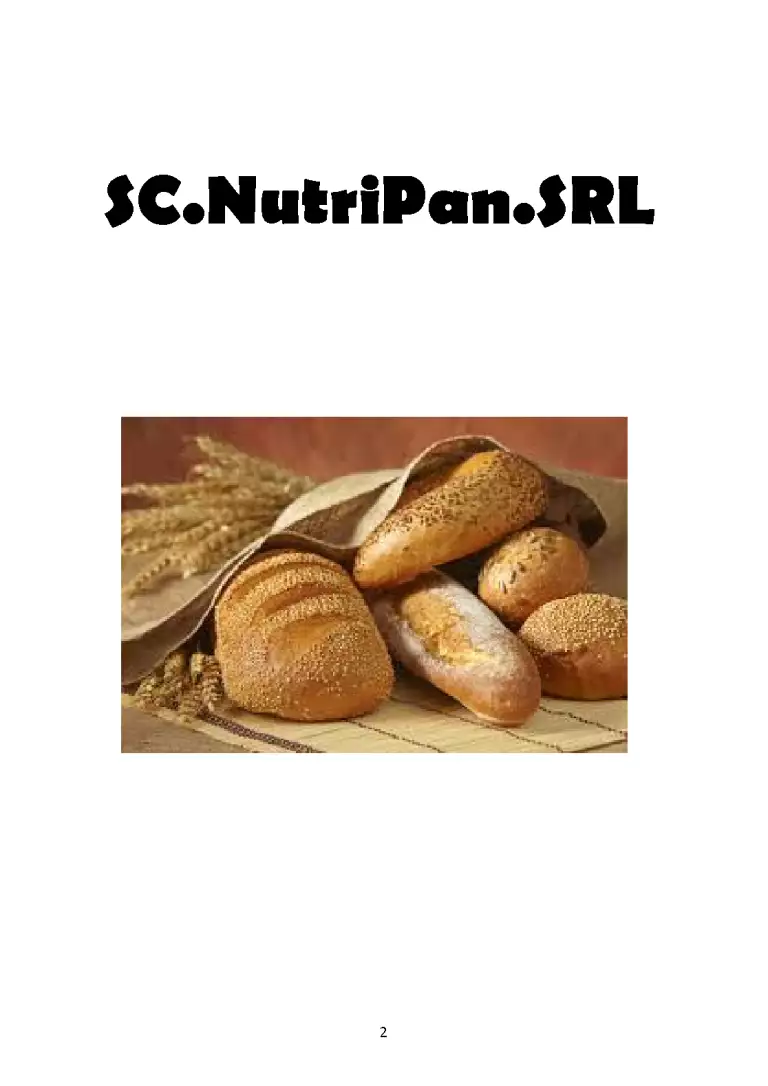 Contabilitate la SC Nutripan SRL - Proiect - Contabilitate #336485 ...
