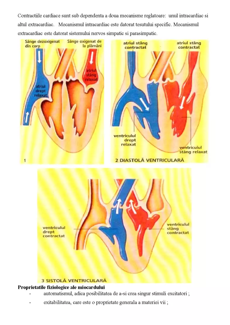 Aspectul radioimagistic în afecțiunile cardiovasculare - Referat ...