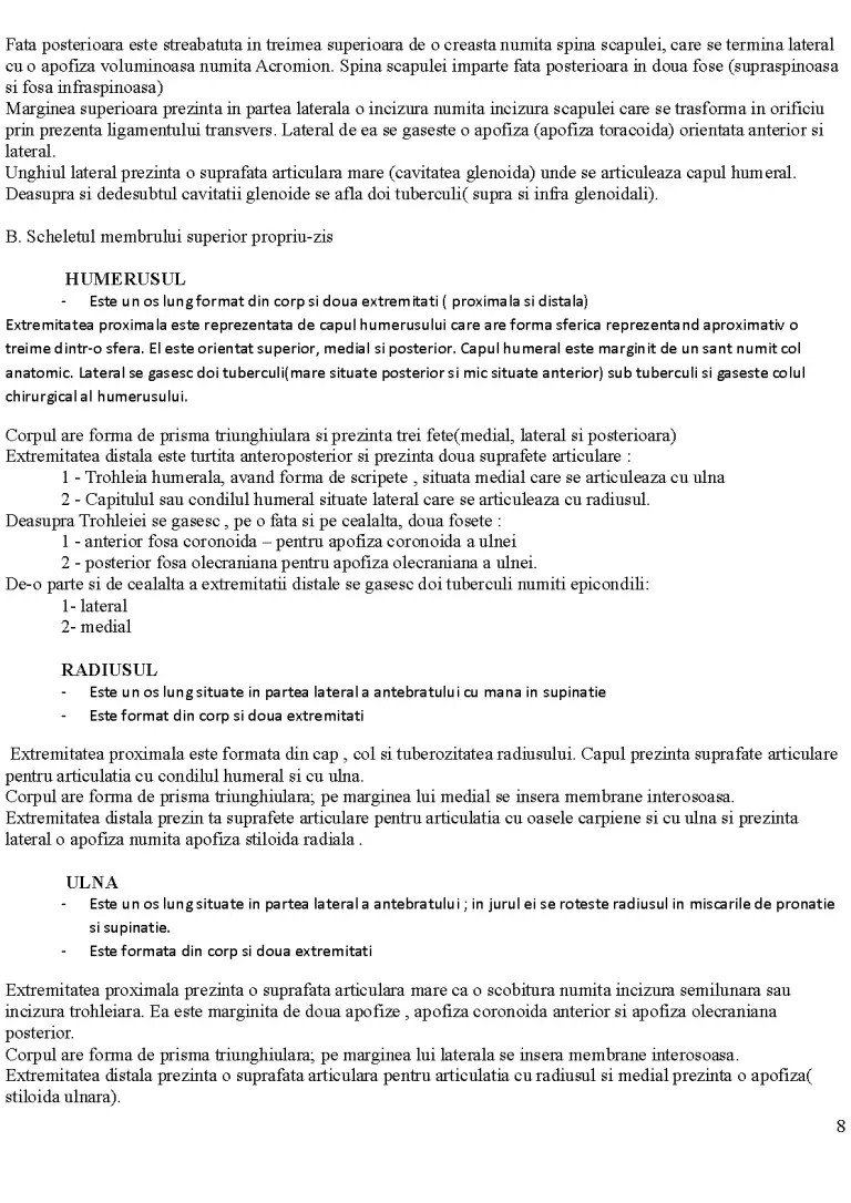 Osteologie - Curs - Anatomie #380863 | RegieLive