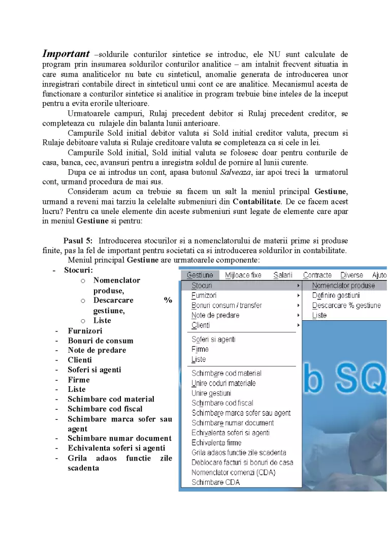 Utilizarea Programului de Contabilitate ContabSQL - Referat ...
