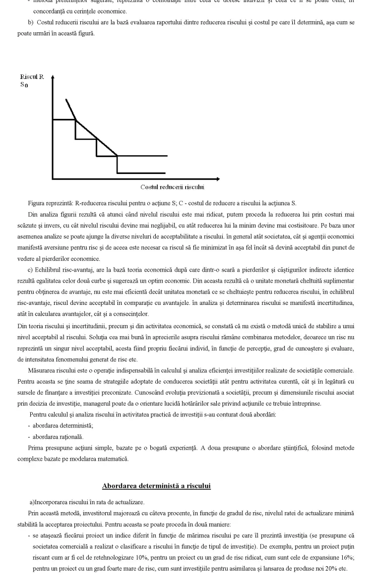 Transfer Area Riscului Determinarea riscului în decizia de investiție - Referat - Finanțe ...