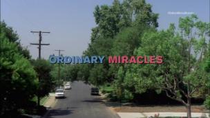 Ordinary Miracles (2005)