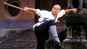 Martial Arts of Shaolin (1986)