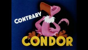 Contrary Condor (1944)