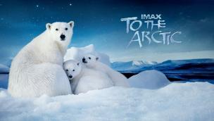 To the Arctic 3D (2012)