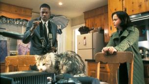 That Darn Cat (1997)