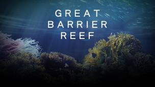Great Barrier Reef with David Attenborough (2015)