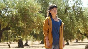 The Olive Tree (2016)