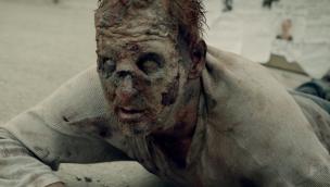 Zombiehagen (2014)