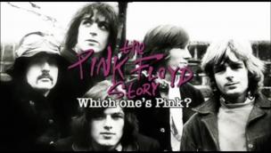 The Pink Floyd Story: Which One's Pink? (2007)