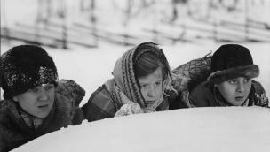 Die Kinder vom Wildbachfelsen (1945)