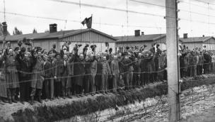 Dachau Liberation (2021)
