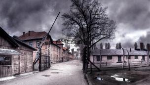 Auschwitz: Inside the Nazi State (2005)