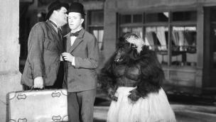 The Chimp (1932)