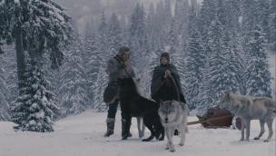 The Maiden and the Wolves (2008)