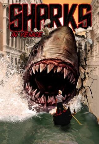 Poster Shark in Venice