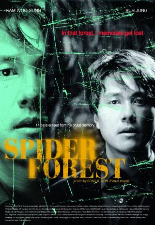 Poster Spider Forest