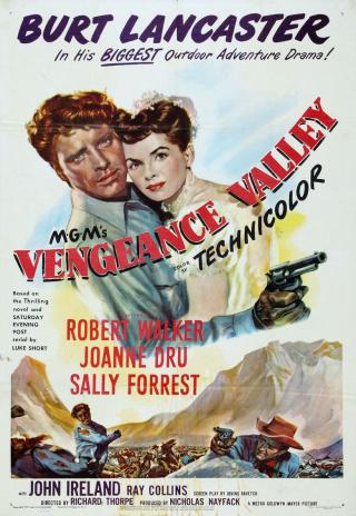 Poster Vengeance Valley