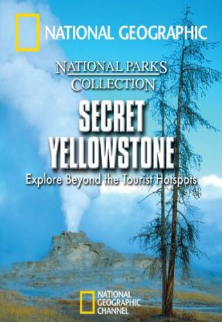 Poster Secret Yellowstone
