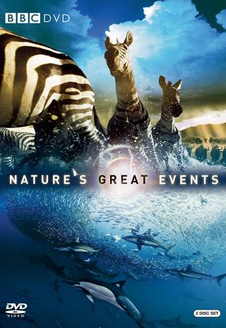 Poster Nature's Most Amazing Events