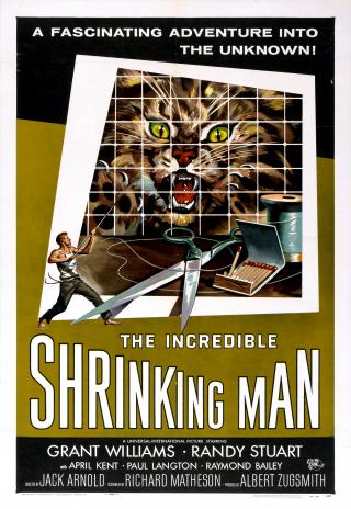 Poster The Incredible Shrinking Man