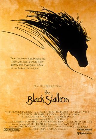 Poster The Black Stallion