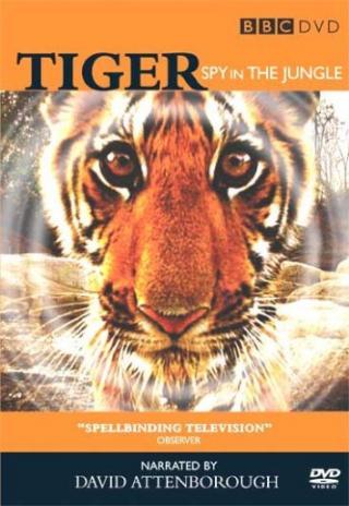 Poster Tiger: Spy in the Jungle