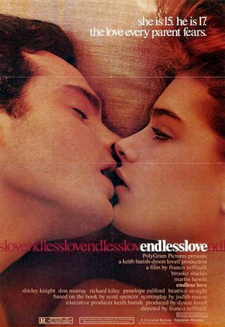 Poster Endless Love