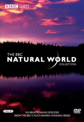Poster Natural World