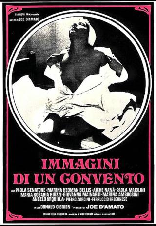 Images in a Conven (1979)