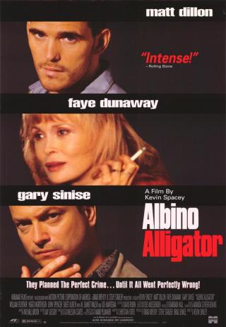 Poster Albino Alligator