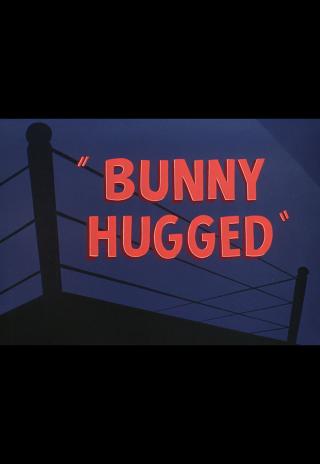 Poster Bunny Hugged