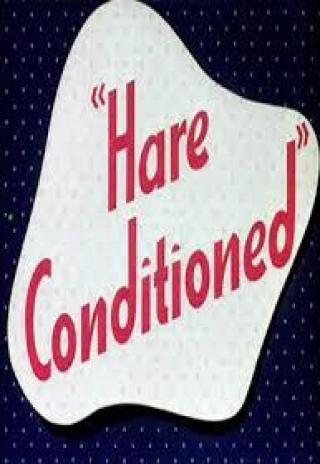 Poster Hare Conditioned