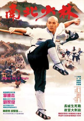 Poster Martial Arts of Shaolin