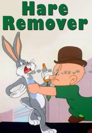 Poster Hare Remover