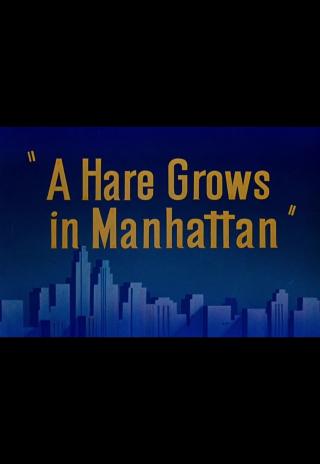 Poster A Hare Grows in Manhattan