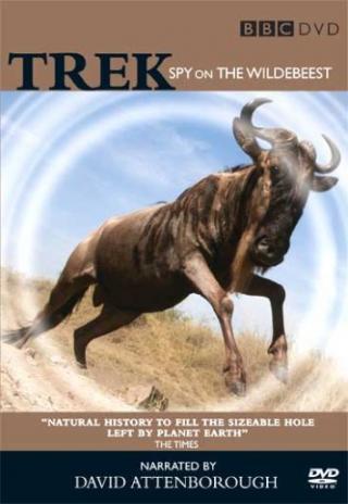 Poster Trek: Spy on the Wildebeest
