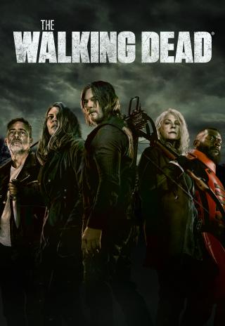 Poster The Walking Dead