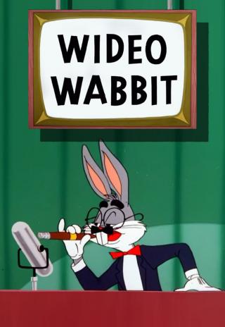 Poster Wideo Wabbit