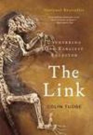 The Link (2009)