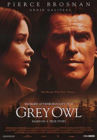 Poster Grey Owl