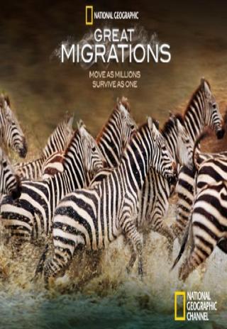 Poster Great Migrations