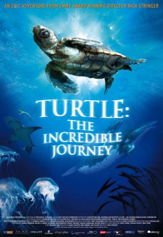 Poster Turtle: The Incredible Journey