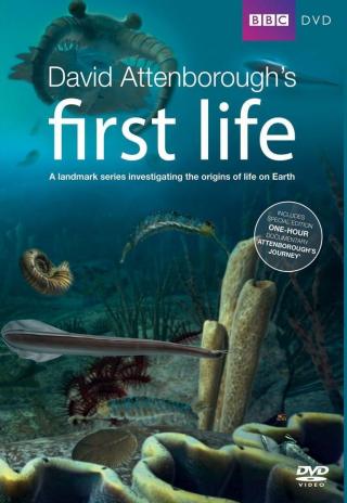Poster David Attenborough's First Life
