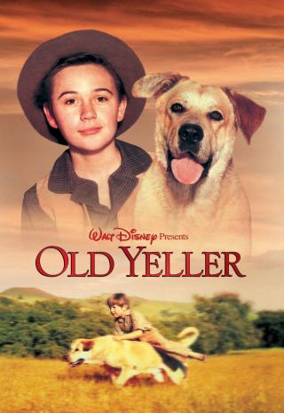 Poster Old Yeller
