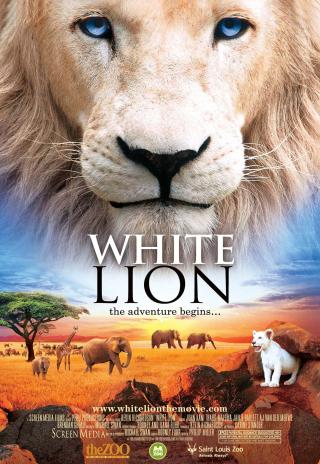 Poster White Lion