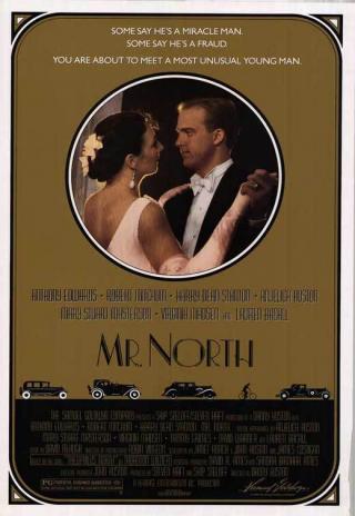Poster Mr. North