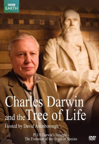 Poster Charles Darwin and the Tree of Life
