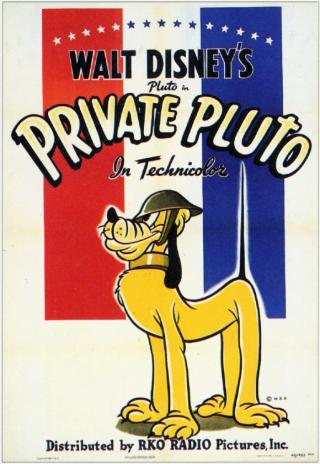 Poster Private Pluto