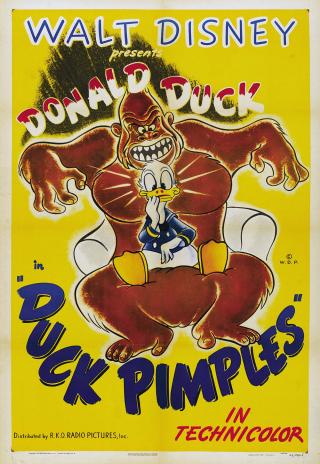 Poster Duck Pimples